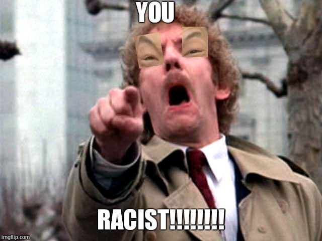 Screaming Donald Sutherland | YOU RACIST!!!!!!!! | image tagged in screaming donald sutherland | made w/ Imgflip meme maker