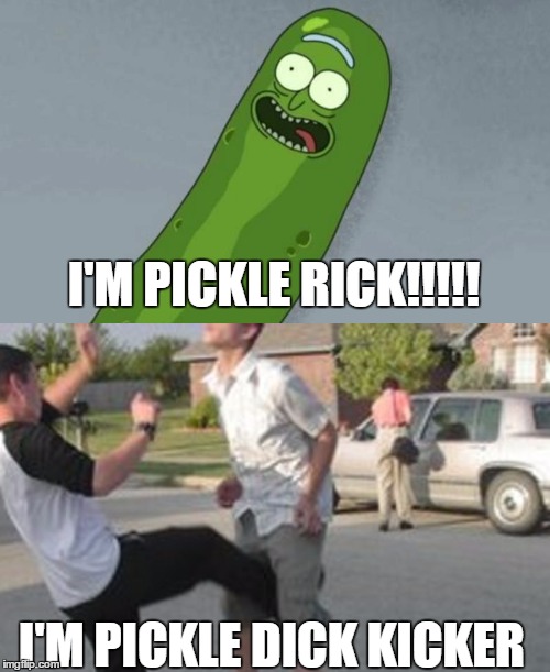 Pickle Dick Kicker | I'M PICKLE RICK!!!!! I'M PICKLE DICK KICKER | image tagged in pickle rick,kicked in the balls | made w/ Imgflip meme maker