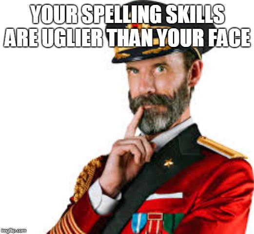Hmm Captain Obvious  | YOUR SPELLING SKILLS ARE UGLIER THAN YOUR FACE | image tagged in hmm captain obvious | made w/ Imgflip meme maker