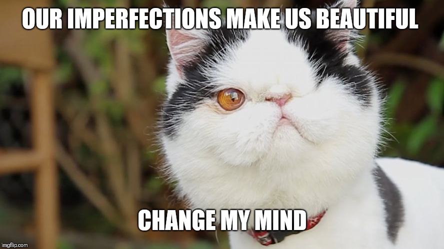 Perfection is boring | OUR IMPERFECTIONS MAKE US BEAUTIFUL; CHANGE MY MIND | image tagged in one eye,flaunt the imperfection,beauty is more than skin deep,why be a sheep | made w/ Imgflip meme maker