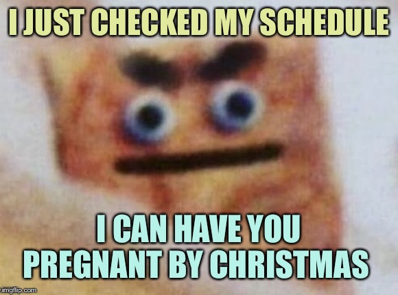Perverted Cinnamon Toast |  I JUST CHECKED MY SCHEDULE; I CAN HAVE YOU PREGNANT BY CHRISTMAS | image tagged in perverted cinnamon toast,memes | made w/ Imgflip meme maker