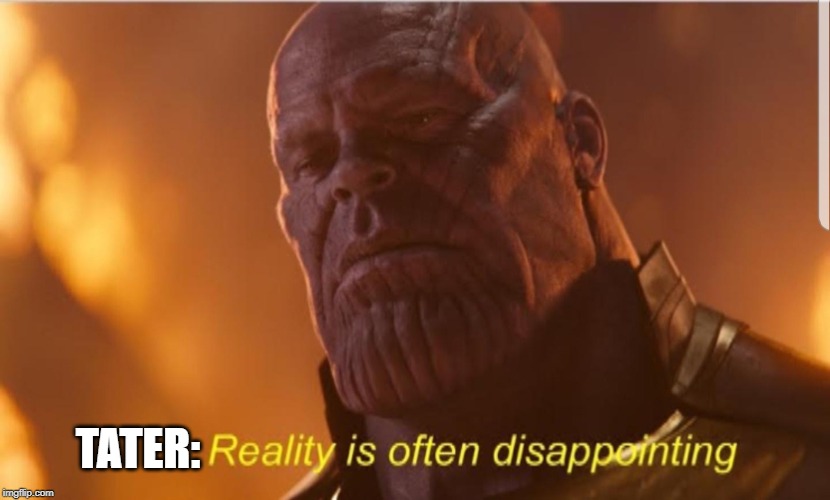 Reality us often disappointing | TATER: | image tagged in reality us often disappointing | made w/ Imgflip meme maker