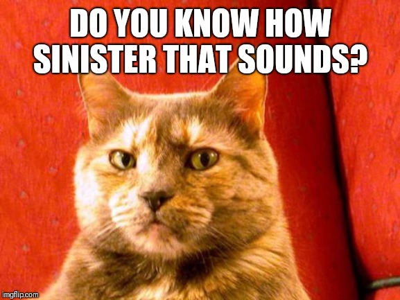 Suspicious Cat Meme | DO YOU KNOW HOW SINISTER THAT SOUNDS? | image tagged in memes,suspicious cat | made w/ Imgflip meme maker