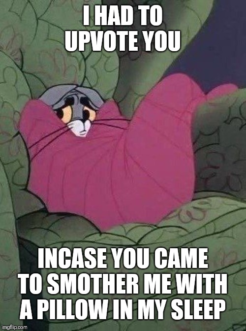 I HAD TO UPVOTE YOU INCASE YOU CAME TO SMOTHER ME WITH A PILLOW IN MY SLEEP | made w/ Imgflip meme maker