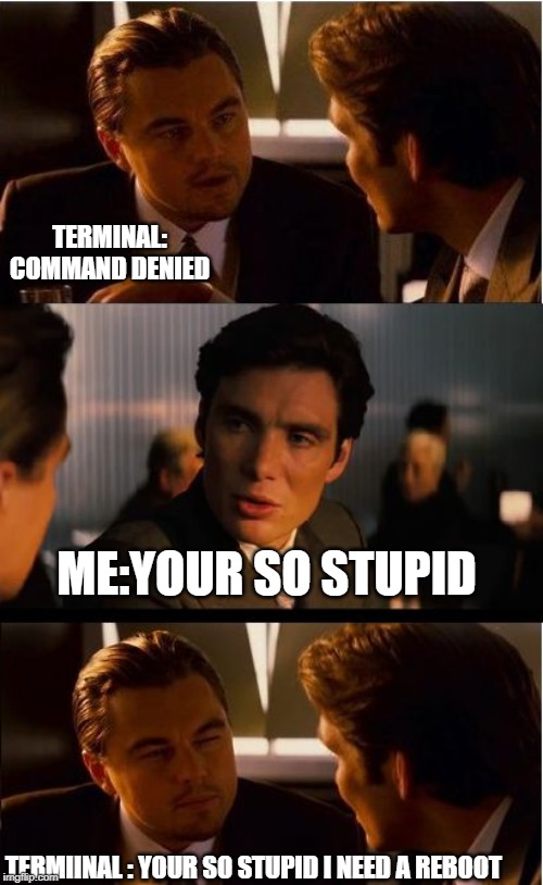 Inception | TERMINAL: COMMAND DENIED; ME:YOUR SO STUPID; TERMIINAL : YOUR SO STUPID I NEED A REBOOT | image tagged in memes,inception | made w/ Imgflip meme maker