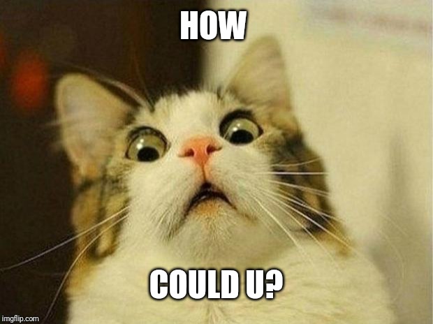 Scared Cat Meme | HOW COULD U? | image tagged in memes,scared cat | made w/ Imgflip meme maker