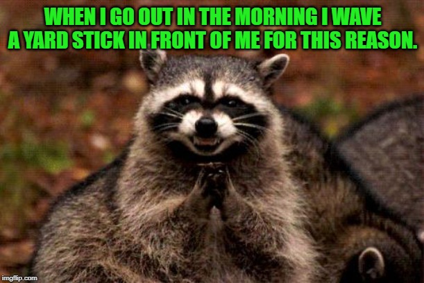 Evil Plotting Raccoon Meme | WHEN I GO OUT IN THE MORNING I WAVE A YARD STICK IN FRONT OF ME FOR THIS REASON. | image tagged in memes,evil plotting raccoon | made w/ Imgflip meme maker