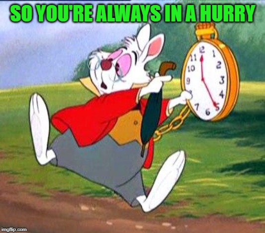 White Rabbit "I'm late!" | SO YOU'RE ALWAYS IN A HURRY | image tagged in white rabbit i'm late | made w/ Imgflip meme maker