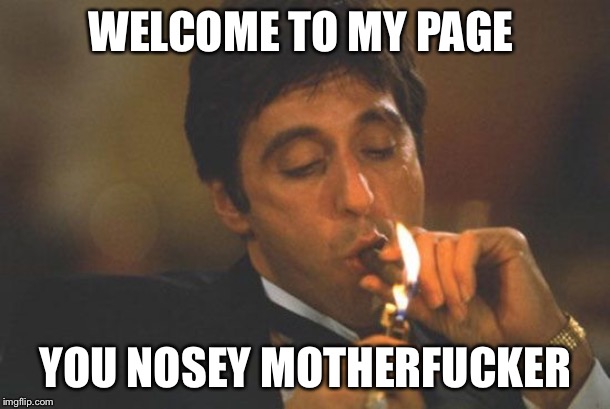 Welcome to My Page | WELCOME TO MY PAGE; YOU NOSEY MOTHERFUCKER | image tagged in scarface serious,welcome,nosey,motherfucker | made w/ Imgflip meme maker