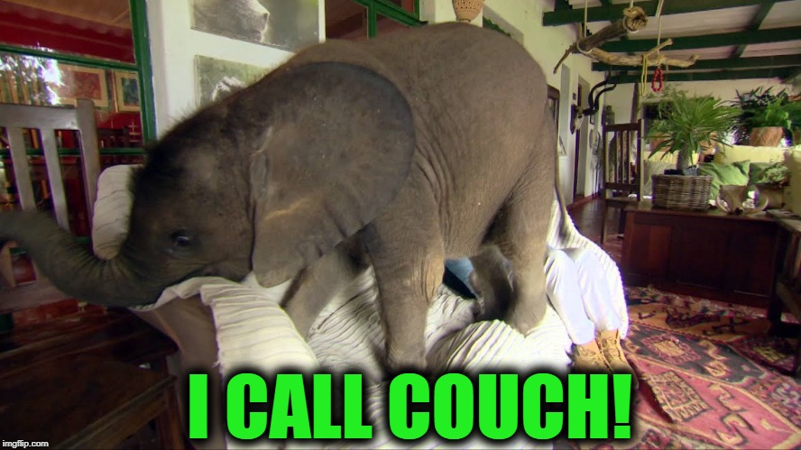 I CALL COUCH! | made w/ Imgflip meme maker