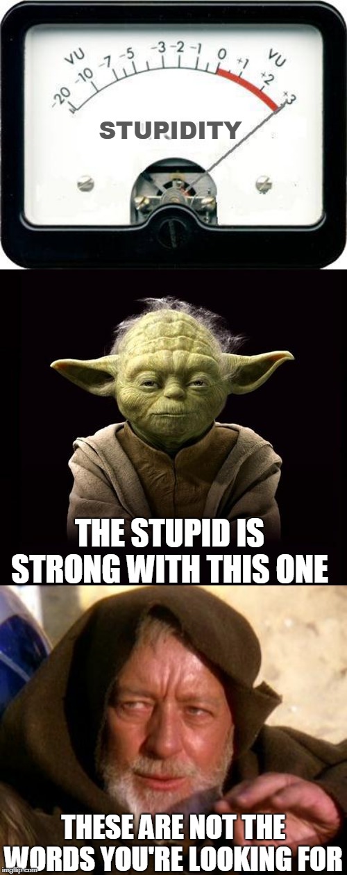 STUPIDITY THE STUPID IS STRONG WITH THIS ONE THESE ARE NOT THE WORDS YOU'RE LOOKING FOR | image tagged in obi wan kenobi jedi mind trick,yoda,irony meter | made w/ Imgflip meme maker