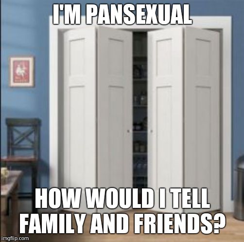 Closet | I'M PANSEXUAL; HOW WOULD I TELL FAMILY AND FRIENDS? | image tagged in closet | made w/ Imgflip meme maker