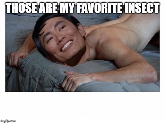 Sulu | THOSE ARE MY FAVORITE INSECT | image tagged in sulu | made w/ Imgflip meme maker