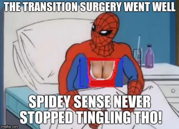 Spider Woman | image tagged in spiderman,female,transsexual | made w/ Imgflip meme maker