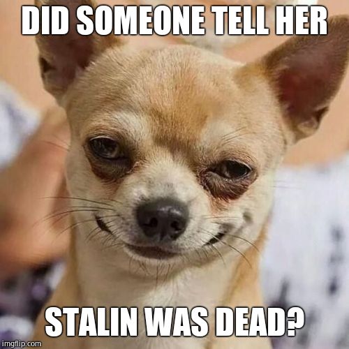 Smirking Dog | DID SOMEONE TELL HER STALIN WAS DEAD? | image tagged in smirking dog | made w/ Imgflip meme maker