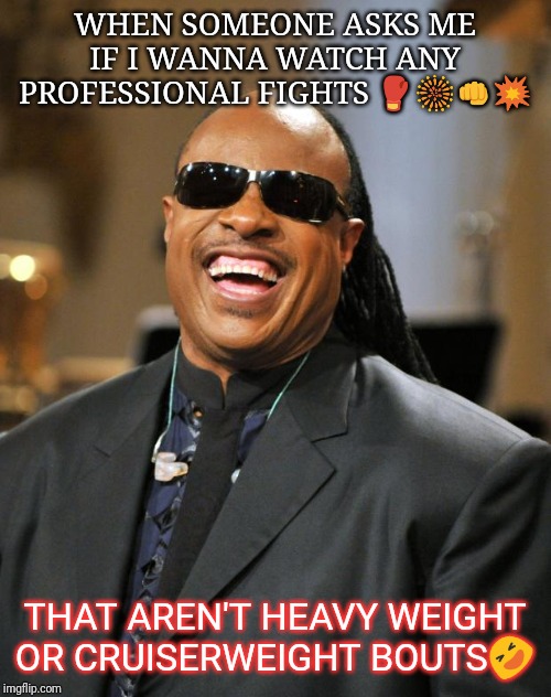 Stevie Wonder | WHEN SOMEONE ASKS ME IF I WANNA WATCH ANY PROFESSIONAL FIGHTS 🥊🎆👊💥; THAT AREN'T HEAVY WEIGHT OR CRUISERWEIGHT BOUTS🤣 | image tagged in stevie wonder | made w/ Imgflip meme maker