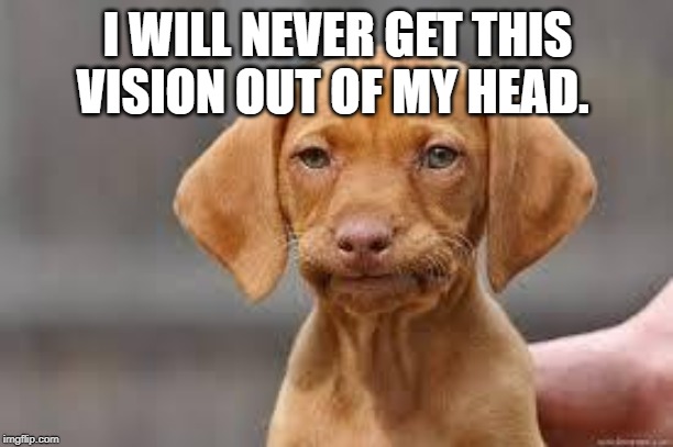 Disappointed Dog | I WILL NEVER GET THIS VISION OUT OF MY HEAD. | image tagged in disappointed dog | made w/ Imgflip meme maker