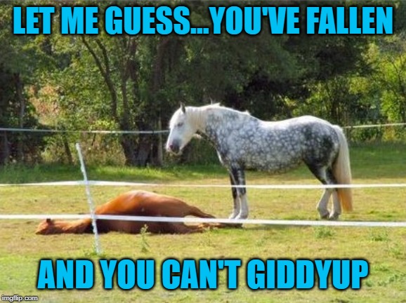 LET ME GUESS...YOU'VE FALLEN AND YOU CAN'T GIDDYUP | made w/ Imgflip meme maker