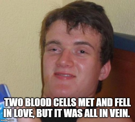 10 Guy Meme | TWO BLOOD CELLS MET AND FELL IN LOVE, BUT IT WAS ALL IN VEIN. | image tagged in memes,10 guy | made w/ Imgflip meme maker