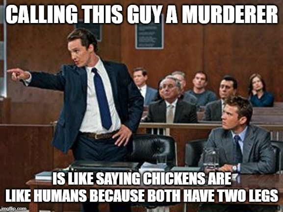 lawyer | CALLING THIS GUY A MURDERER; IS LIKE SAYING CHICKENS ARE LIKE HUMANS BECAUSE BOTH HAVE TWO LEGS | image tagged in lawyer | made w/ Imgflip meme maker