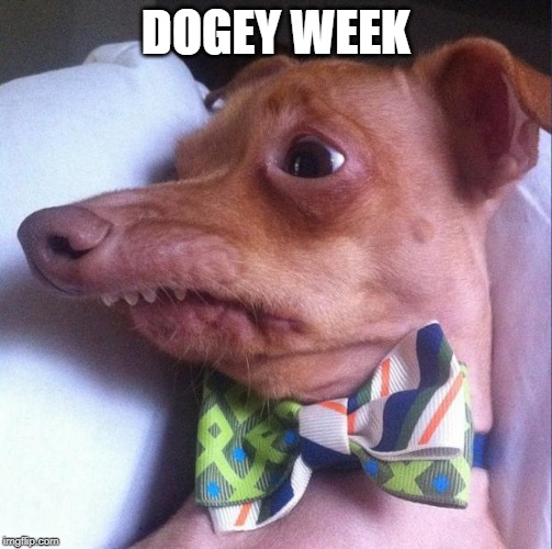 DOGEY WEEK | image tagged in tuna the dog phteven | made w/ Imgflip meme maker