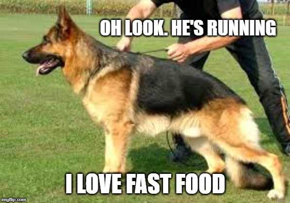 OH LOOK. HE'S RUNNING; I LOVE FAST FOOD | image tagged in dog | made w/ Imgflip meme maker