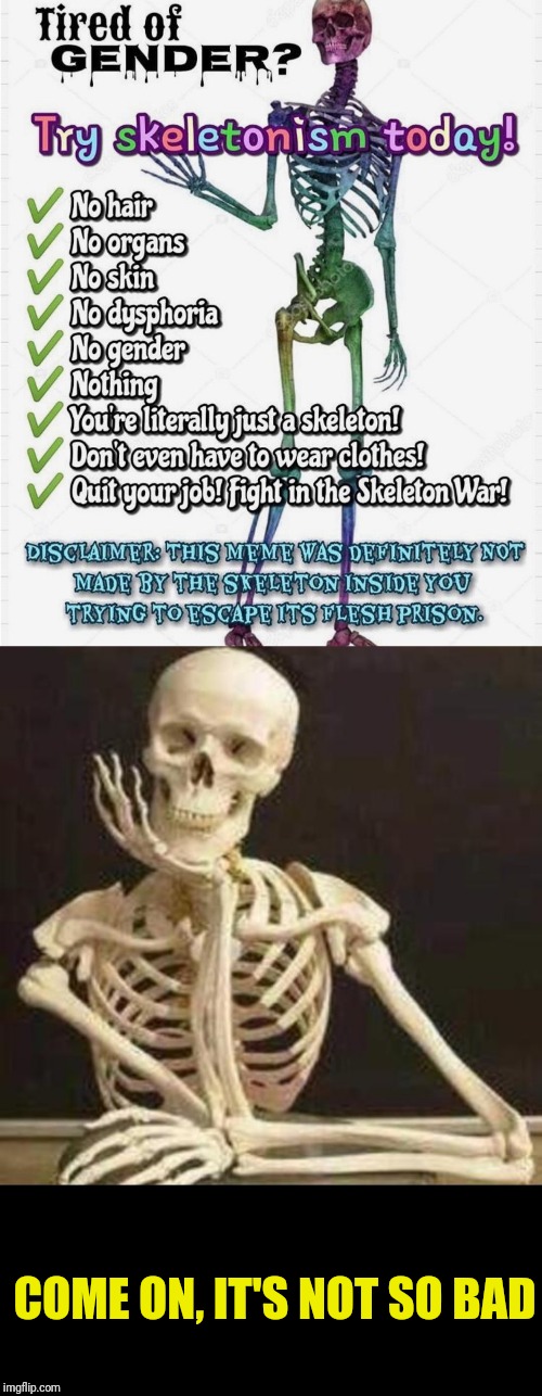 Wonder what Sans thinks about this | COME ON, IT'S NOT SO BAD | image tagged in waiting skeleton | made w/ Imgflip meme maker