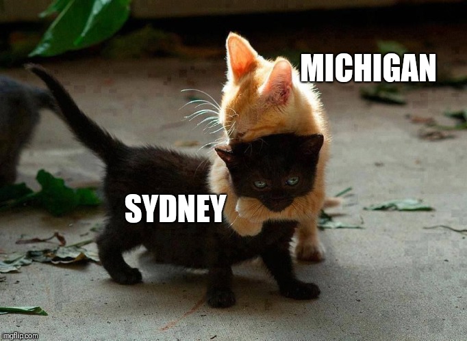 kitten hug | MICHIGAN SYDNEY | image tagged in kitten hug | made w/ Imgflip meme maker