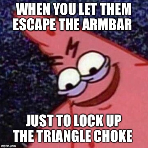 WHEN YOU LET THEM ESCAPE THE ARMBAR; JUST TO LOCK UP THE TRIANGLE CHOKE | image tagged in mma | made w/ Imgflip meme maker