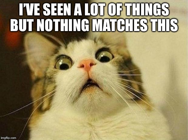 Scared Cat Meme | I’VE SEEN A LOT OF THINGS BUT NOTHING MATCHES THIS | image tagged in memes,scared cat | made w/ Imgflip meme maker