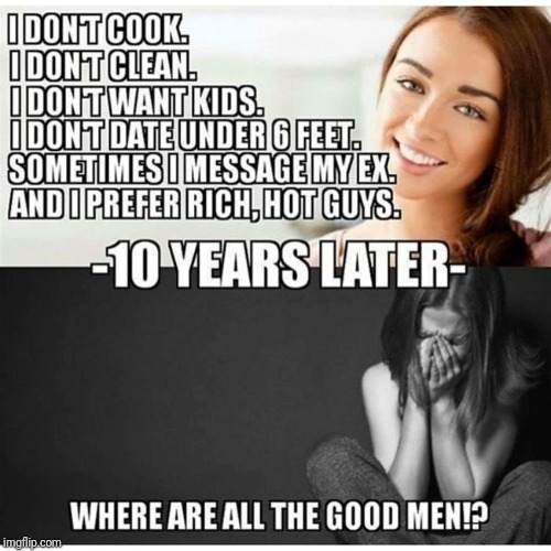 where are all the good men!? | image tagged in mgtow,women | made w/ Imgflip meme maker