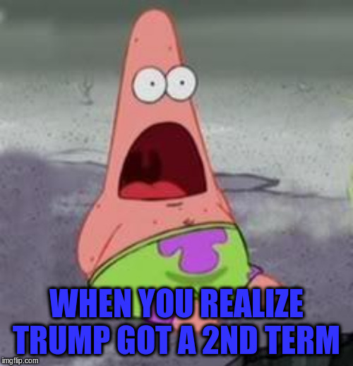 Suprised Patrick | WHEN YOU REALIZE TRUMP GOT A 2ND TERM | image tagged in suprised patrick | made w/ Imgflip meme maker
