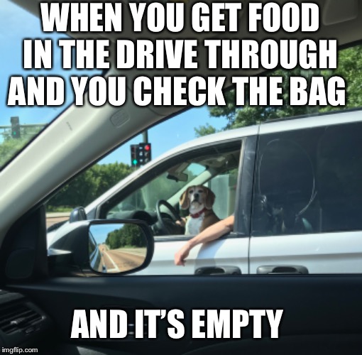 When you go to a restaurant and this happens | WHEN YOU GET FOOD IN THE DRIVE THROUGH AND YOU CHECK THE BAG; AND IT’S EMPTY | image tagged in dogs,restaurant,memes,funny,wtf,empty | made w/ Imgflip meme maker