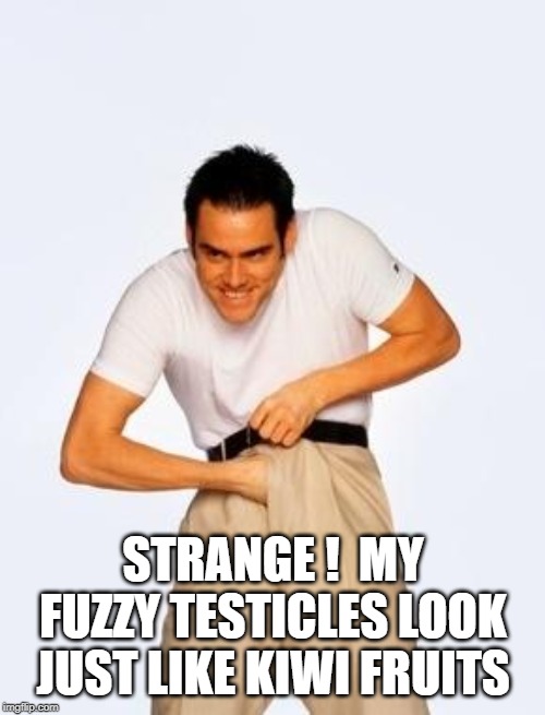 jim carrey fap | STRANGE !  MY FUZZY TESTICLES LOOK JUST LIKE KIWI FRUITS | image tagged in jim carrey fap | made w/ Imgflip meme maker