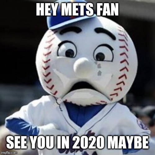 Sad Mr Met | HEY METS FAN; SEE YOU IN 2020 MAYBE | image tagged in sad mr met | made w/ Imgflip meme maker