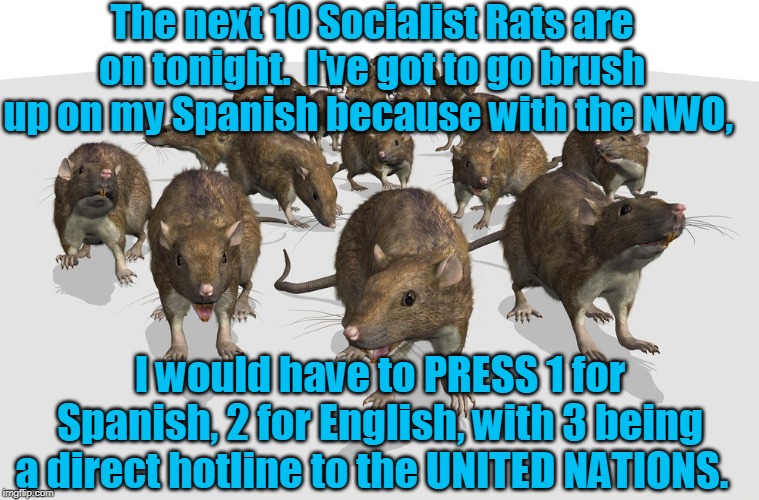 With Democrats, America is LAST :( ! | The next 10 Socialist Rats are on tonight.  I've got to go brush up on my Spanish because with the NWO, I would have to PRESS 1 for Spanish, 2 for English, with 3 being a direct hotline to the UNITED NATIONS. | image tagged in politics,political meme | made w/ Imgflip meme maker