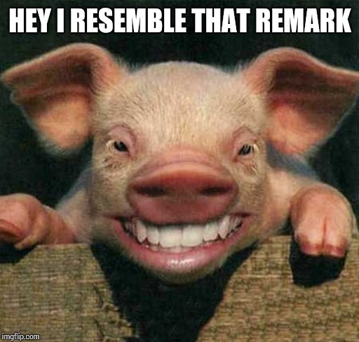 Swine with human teeth | HEY I RESEMBLE THAT REMARK | image tagged in swine with human teeth | made w/ Imgflip meme maker