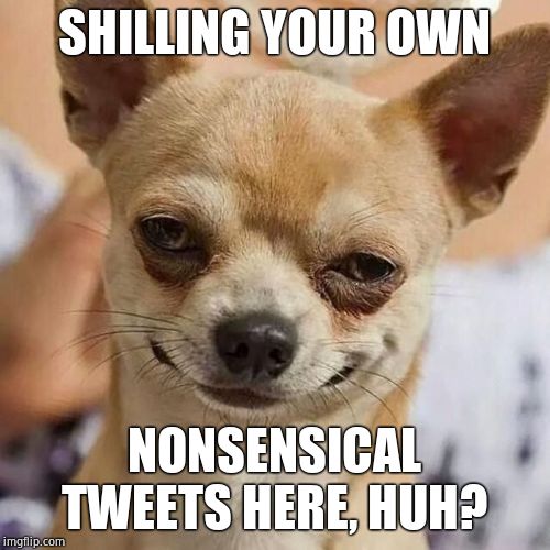 Smirking Dog | SHILLING YOUR OWN NONSENSICAL TWEETS HERE, HUH? | image tagged in smirking dog | made w/ Imgflip meme maker
