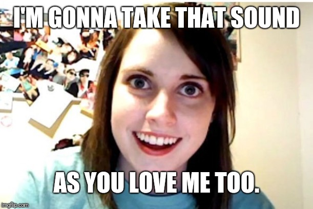 Stalker Girl | I'M GONNA TAKE THAT SOUND AS YOU LOVE ME TOO. | image tagged in stalker girl | made w/ Imgflip meme maker