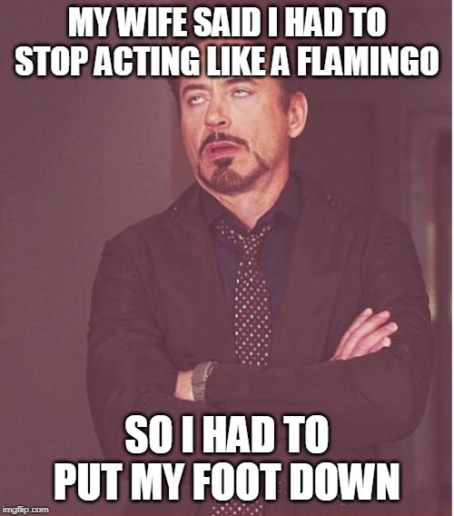 :-D | MY WIFE SAID I HAD TO STOP ACTING LIKE A FLAMINGO; SO I HAD TO PUT MY FOOT DOWN | image tagged in memes,face you make robert downey jr | made w/ Imgflip meme maker