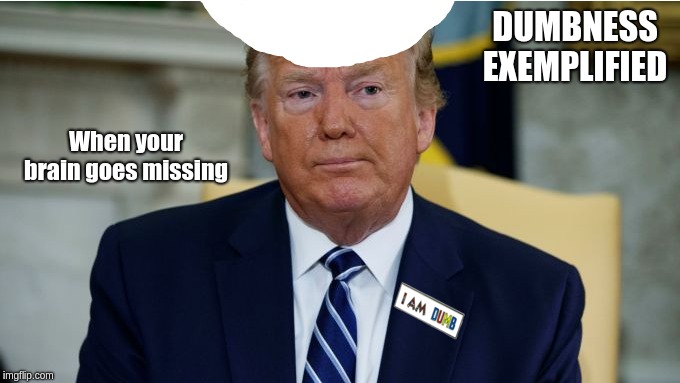 Donald Trump Missing His Brain | DUMBNESS EXEMPLIFIED; When your brain goes missing | image tagged in dumb president,looney right,looney conservatives,exemplification | made w/ Imgflip meme maker
