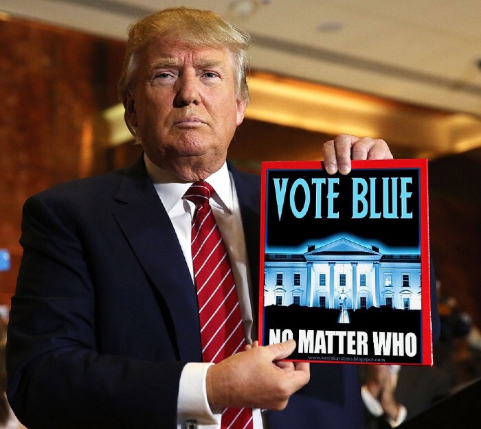 Vote Blue No Matter Who Blank Meme Template