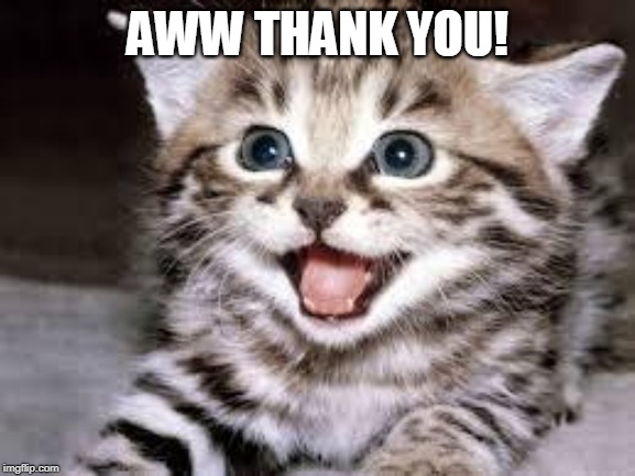 happy cat | AWW THANK YOU! | image tagged in happy cat | made w/ Imgflip meme maker