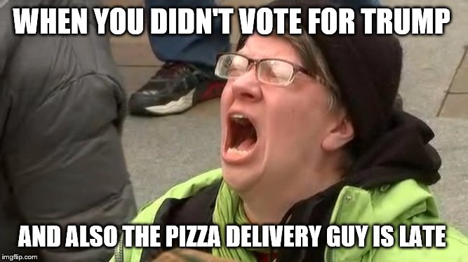 Trump Screamer | WHEN YOU DIDN'T VOTE FOR TRUMP; AND ALSO THE PIZZA DELIVERY GUY IS LATE | image tagged in trump screamer | made w/ Imgflip meme maker