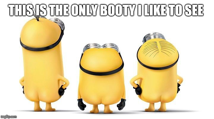 THIS IS THE ONLY BOOTY I LIKE TO SEE | made w/ Imgflip meme maker