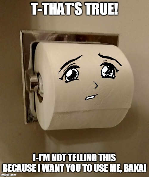 Toilet Paper Senpai | T-THAT'S TRUE! I-I'M NOT TELLING THIS BECAUSE I WANT YOU TO USE ME, BAKA! | image tagged in toilet paper senpai | made w/ Imgflip meme maker