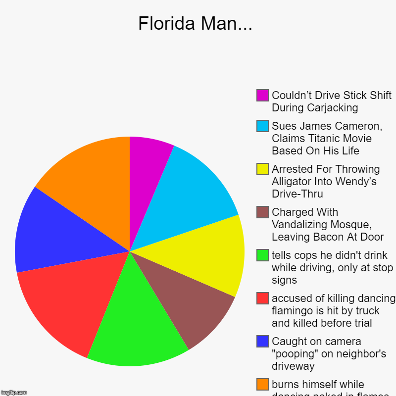 Florida Man.... | Florida Man... | burns himself while dancing naked in flames, chanting 'gibberish', Caught on camera "pooping" on neighbor's driveway, accus | image tagged in charts,pie charts,florida man,headlines | made w/ Imgflip chart maker