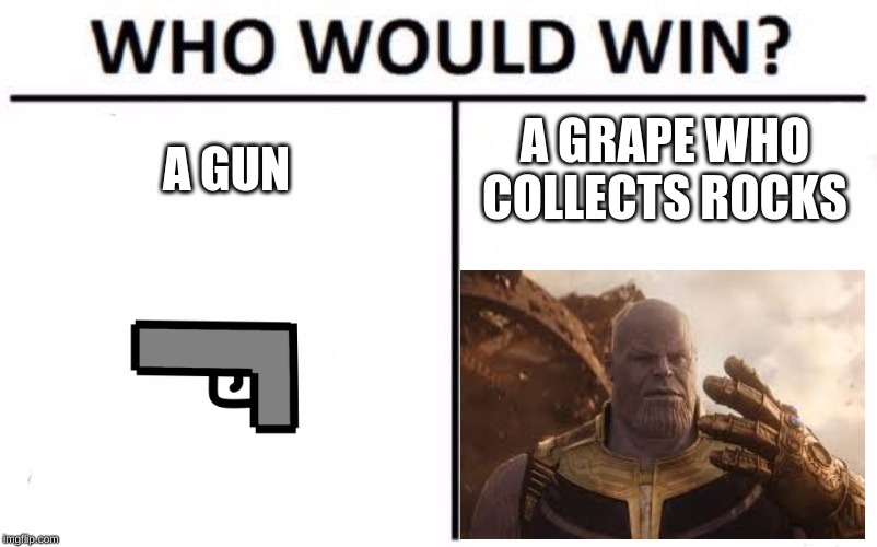 Who Would Win? Meme | A GUN; A GRAPE WHO COLLECTS ROCKS | image tagged in memes,who would win | made w/ Imgflip meme maker