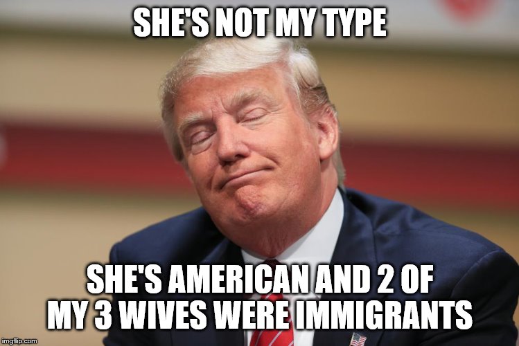 Trump sad | SHE'S NOT MY TYPE; SHE'S AMERICAN AND 2 OF MY 3 WIVES WERE IMMIGRANTS | image tagged in trump sad | made w/ Imgflip meme maker