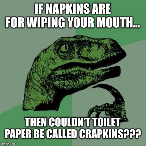Philosoraptor | IF NAPKINS ARE FOR WIPING YOUR MOUTH... THEN COULDN’T TOILET PAPER BE CALLED CRAPKINS??? | image tagged in memes,philosoraptor | made w/ Imgflip meme maker